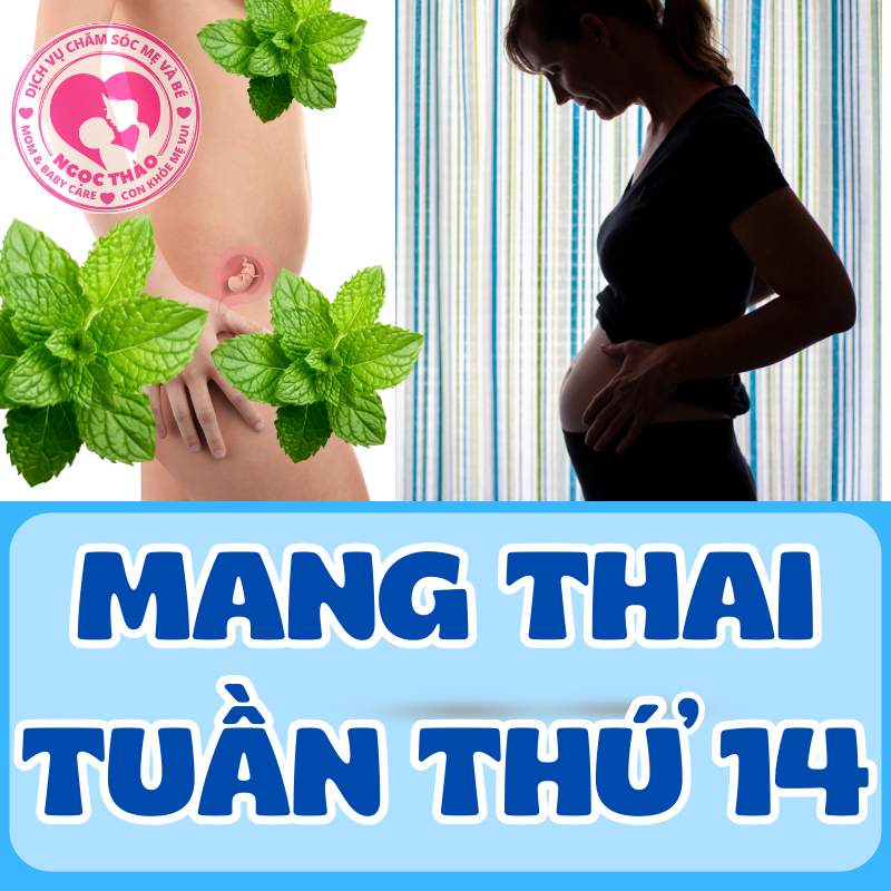 Mẹ bầu mang thai tuần thứ 14